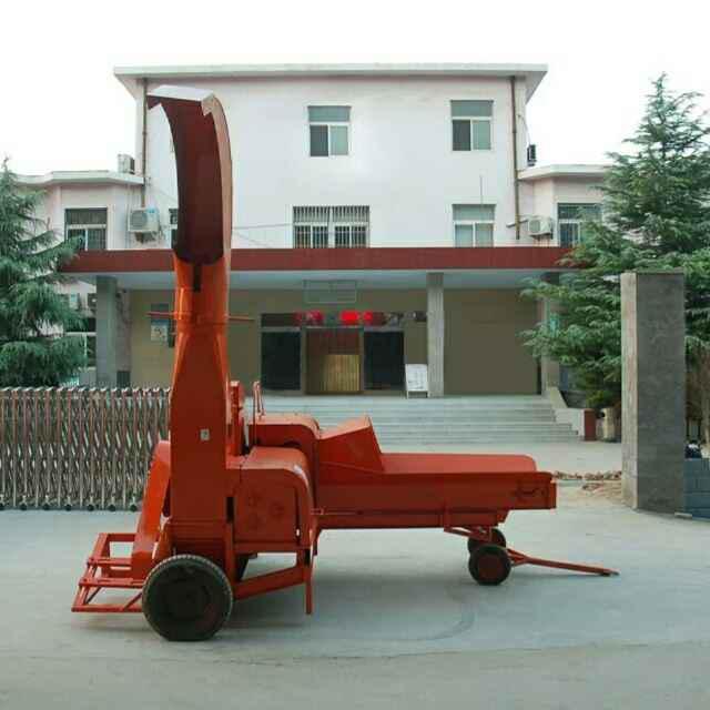 养羊赚钱还是养牛赚钱,养牛应该养什么品种的牛更赚钱