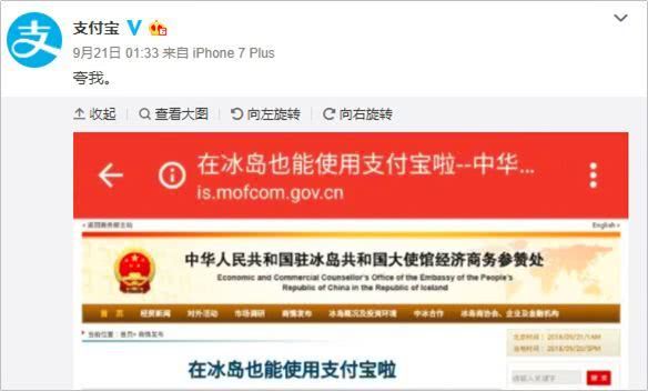 支付宝锦鲤靠什么,支付宝里的锦鲤是怎么回事