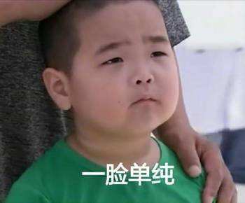 支付宝锦鲤靠什么,支付宝里的锦鲤是怎么回事