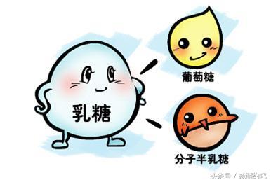 减肥食物碳水化合物一览表,减肥说的碳水化合物食物一览表