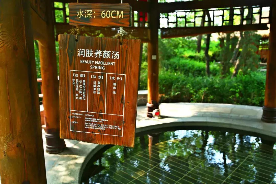 秋天，疗养黄金季！抚顺热高乐园重阳献礼！