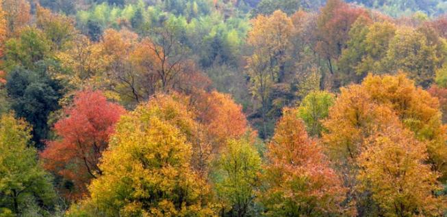 沪苏湖高铁上海到横店,沪苏湖高铁上海到安庆
