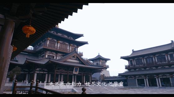 洛阳旅发集团上阳宫文化园重阳节系列活动圆满成功