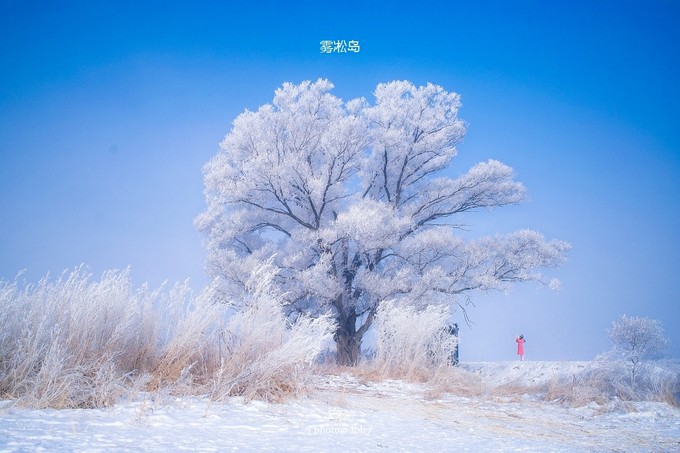 东北冰雪旅游线路攻略视频,东北冰雪大世界旅游攻略