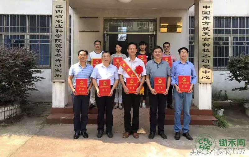 陈光宇宣传大棚芦笋种植技术视频,芦笋之父陈光宇