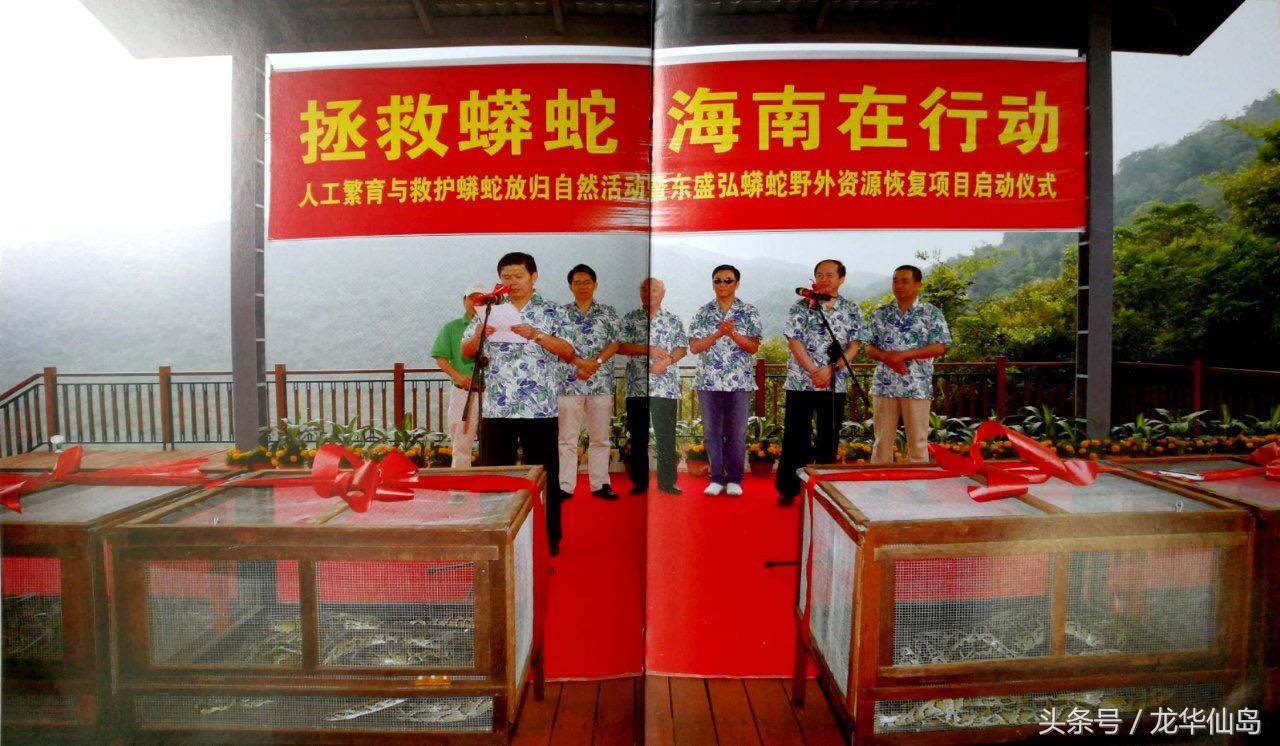 热带雨林探险之旅遇见蛇,亚公顶森林公园蟒蛇