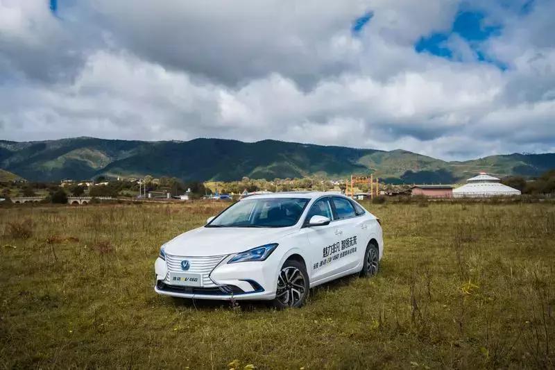 只在熊市有效的炒股进阶指南,在股市赚到钱的都是高手