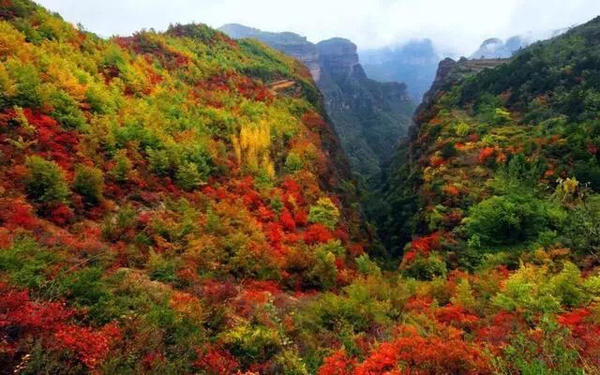 河南秋天最美红叶景区,河南最美红叶路线