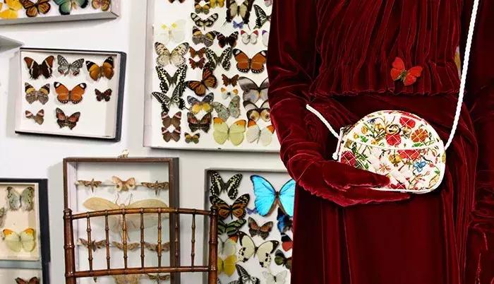 女人买包有哪些讲究,女人买包素材视频