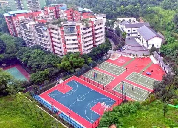 沙坪坝今日关注,沙坪坝人