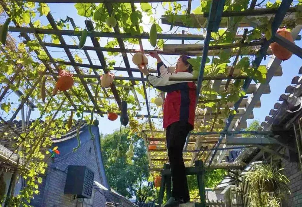 瓜果飘香的丰收季,内蒙古丰收节上瓜果飘香