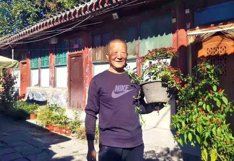 瓜果飘香的丰收季,内蒙古丰收节上瓜果飘香