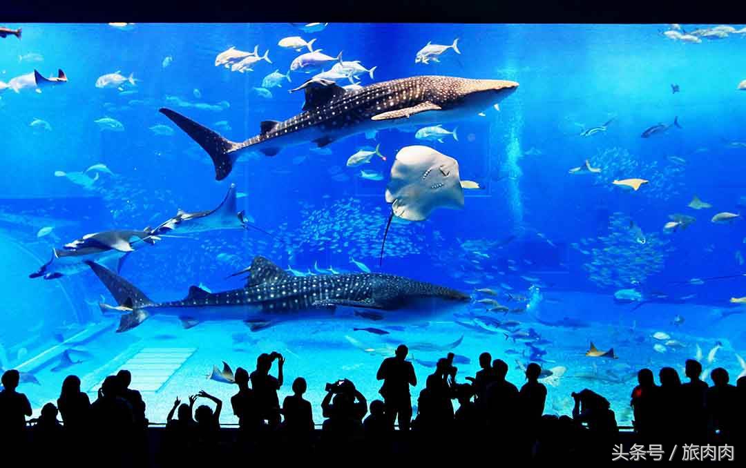 冲绳万座毛景区介绍,冲绳万座