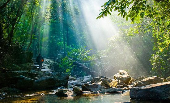 天凉好个秋，一起来感受秋日广东乡村的多样色彩吧！