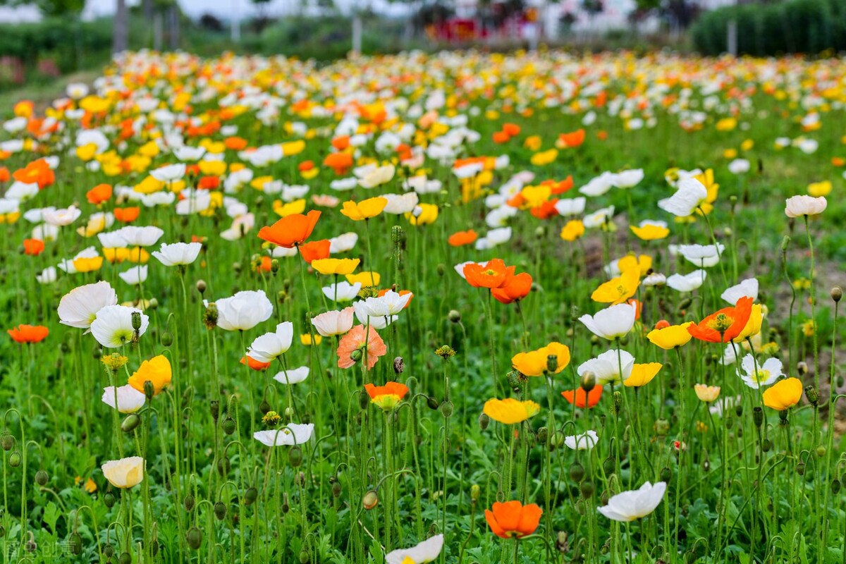 总担心没发生的事怎么办,总是担心害怕不好的事情发生