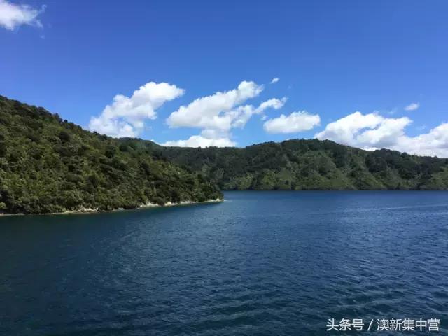 新西兰租别墅攻略,新西兰租房最全攻略