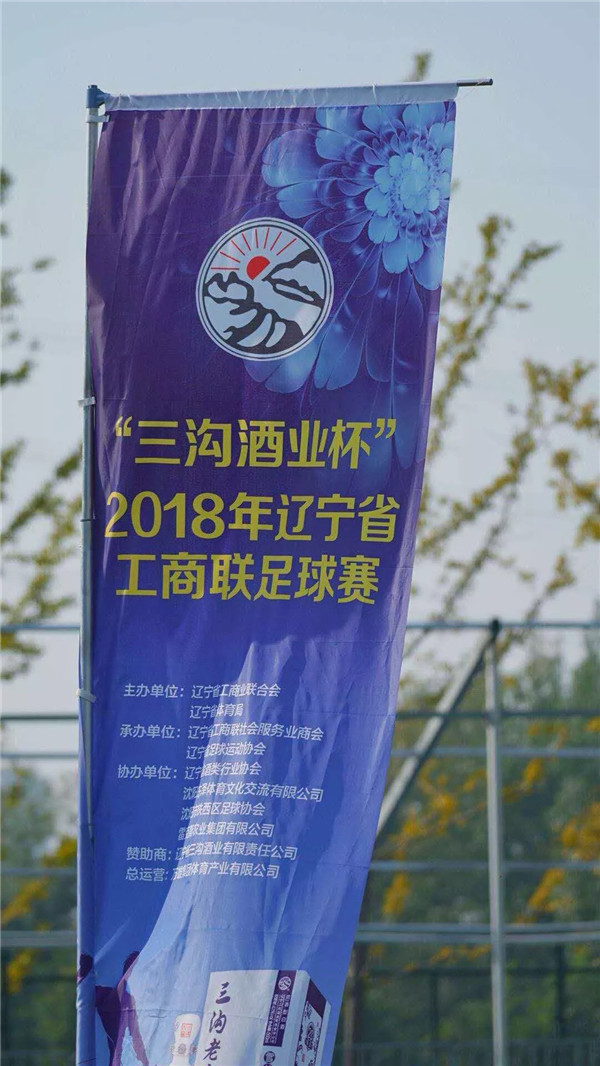 青花汾酒杯第三届省国资委篮球赛,第三届青花汾酒杯篮球赛