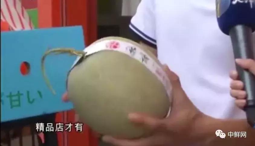 足球运动员退役后的生意,中国足球运动员退役后有哪些收入