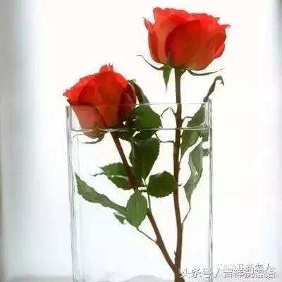 早上好一首带音乐的歌,早上好一首好听的歌分享给朋友们