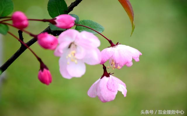 借钱不还的人心理,借钱的人不还钱心里是怎么想的