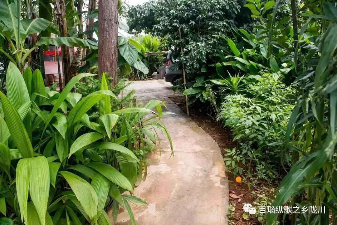 酸汤辣子蘸出来的美味，吃一口就丢魂！这座小城屡被综艺点名