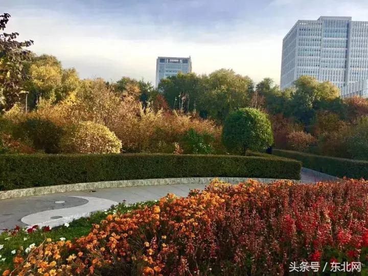 哈尔滨高校打卡,哈尔滨的风向标著名打卡地