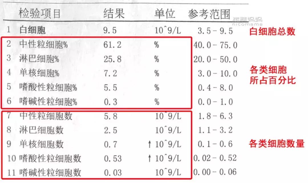小孩有没有贫血怎么看血项,小朋友有没有贫血看哪个指标