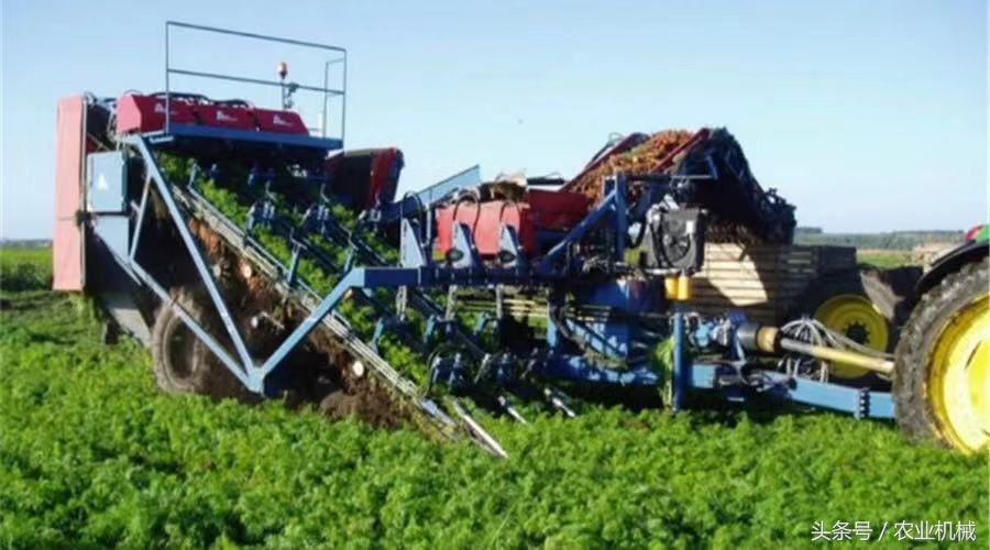 海外蔬菜收获机,蔬菜收获机