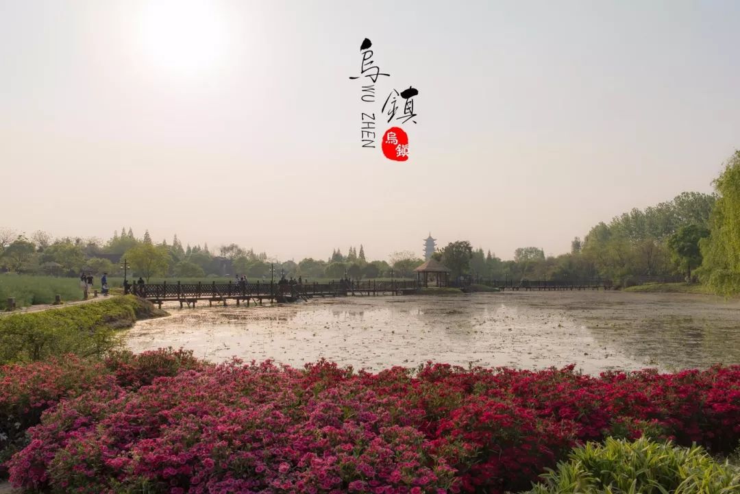 去嘉兴乌镇一定要做的事,乌镇最省钱的玩法