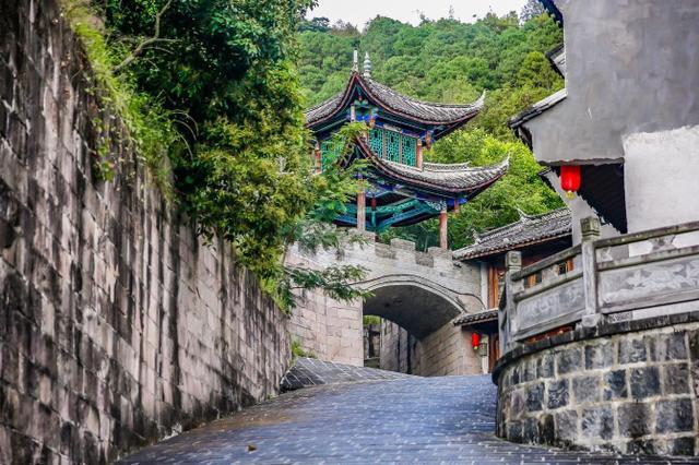 鑽疯姳鍙ら晣鑵惧啿,鑵惧啿鑽疯姳鍙ら晣