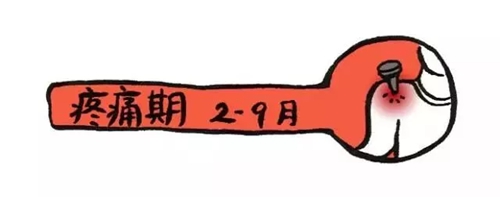 拿什么拯救你我的腰间盘,拿什么拯救你我的五十肩
