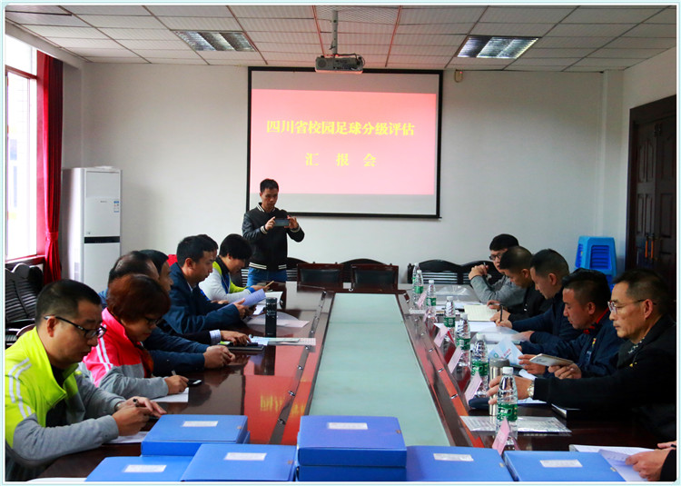 全国足球特色学校评估,四川省洪雅县中小学足球比赛