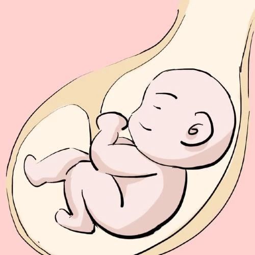 孕妇持续高烧不退对胎儿有影响吗,孕晚期孕妇死亡常见原因