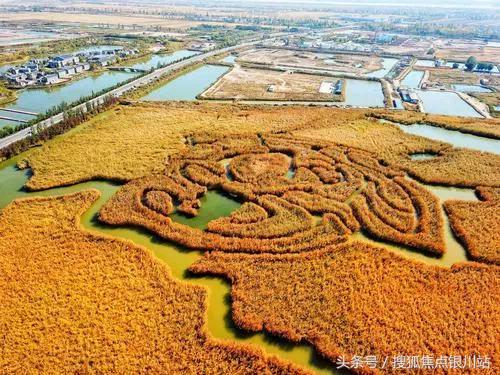 国际湿地城市银川,银川国家级湿地公园
