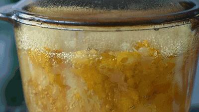 解密脂肪的生长过程,脂肪是如何生长形成的