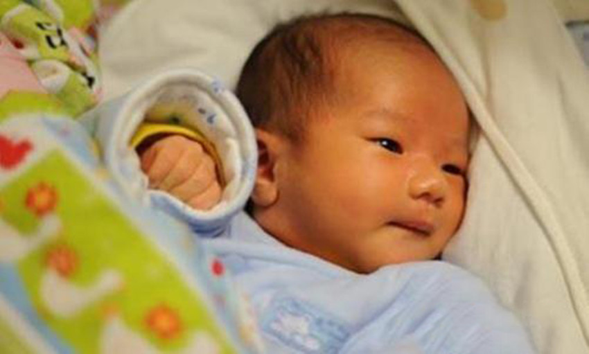 婴儿黄疸一直不退肝功能异常,宝宝黄疸持续肝功能异常