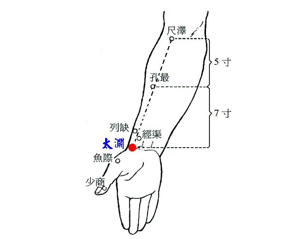 五输穴之少商鱼际与太渊，经渠尺泽肺相连