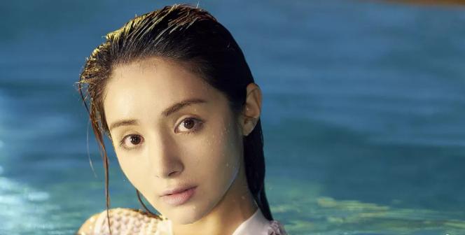 赵文卓对战梁小龙,赵文卓陈国坤电影功夫联盟