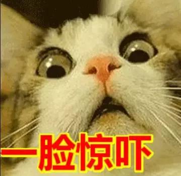 ugg被爆出惊天丑闻,ugg被处罚后续