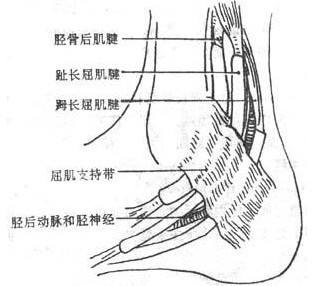 腰椎间盘突出脚麻不治疗会怎么样,腰椎间盘突出脚麻和脚痛哪种厉害