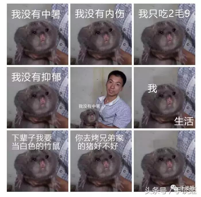 这只竹鼠看起来生病了,华农兄弟这只竹鼠好像中暑了