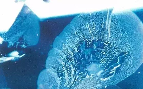 不同产地蓝宝石的“指纹”：包裹体的特征你知道吗？