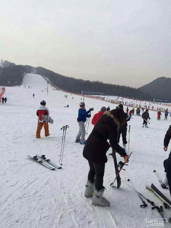 沈阳市东北亚滑雪场,沈阳东北亚滑雪场门票
