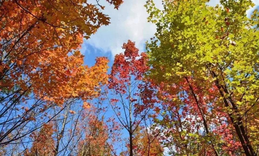 昆明市好消息,云南昆明好消息