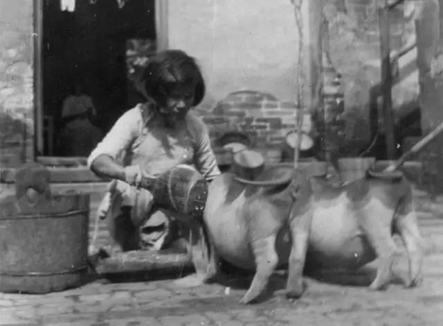 江阳现实版,我是江小白白酒图片