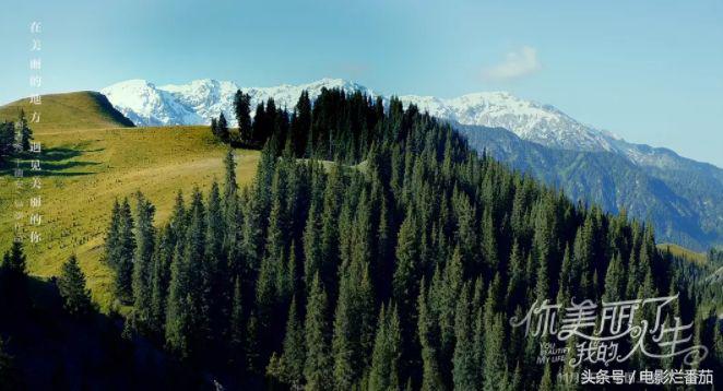 十一月的这份片单，我迫不及待的告诉你