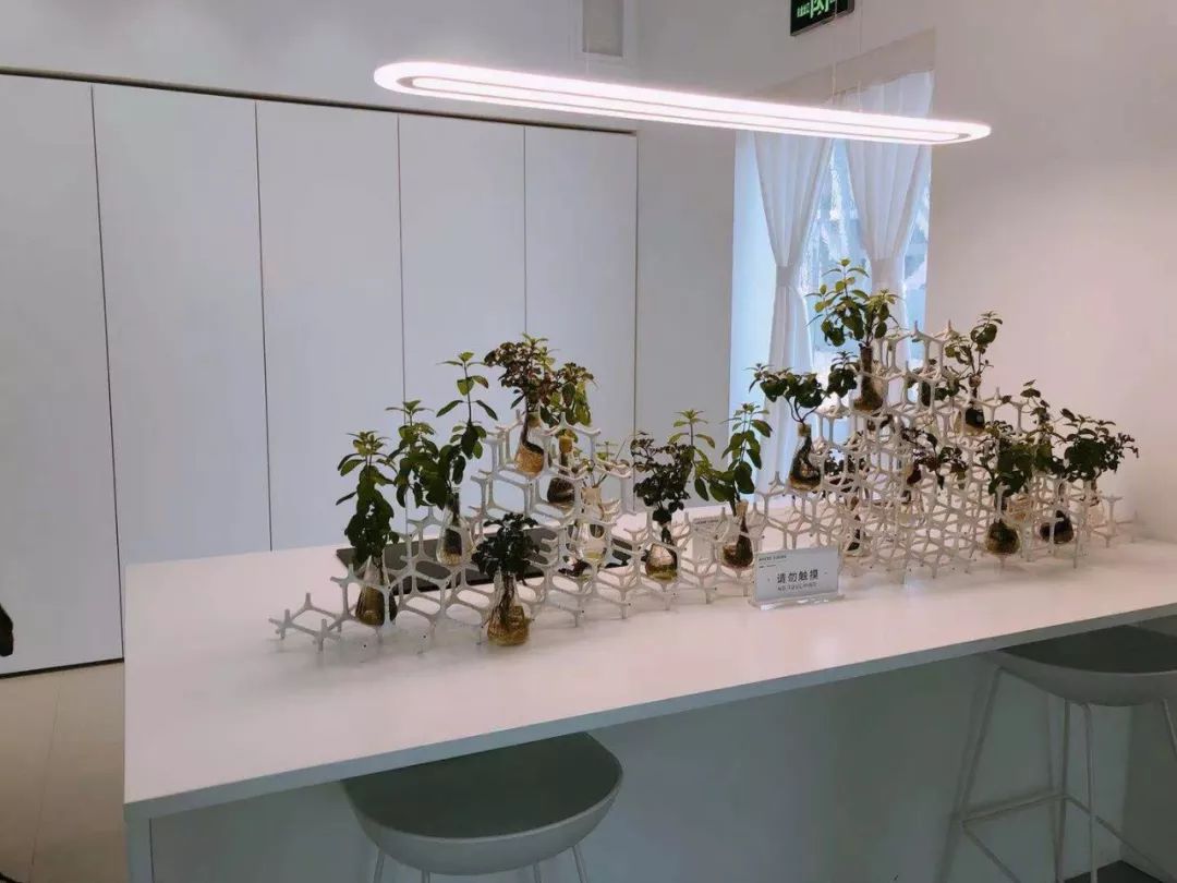 小新带你看2018CHINAHOUSEVISION探索家—未来生活大展