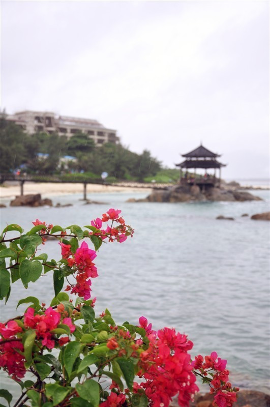 闺蜜的看海之旅，三亚自由行攻略