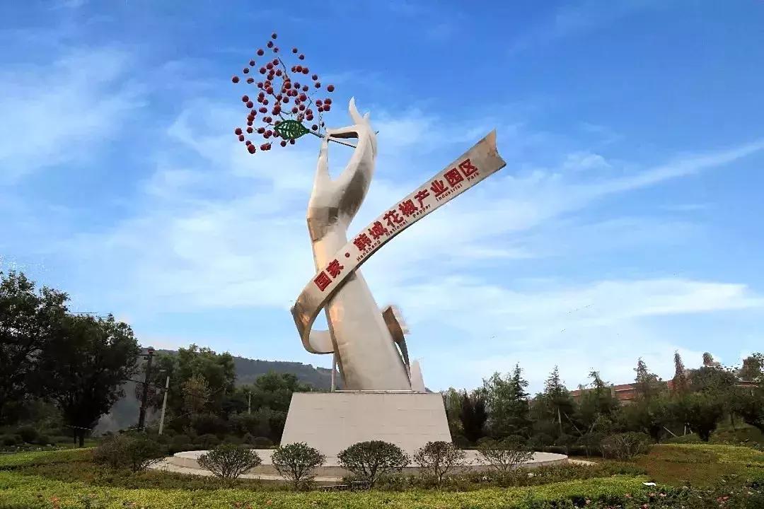 这个季节韩城的花椒是最美的风景,韩城冬季好玩的免费景点