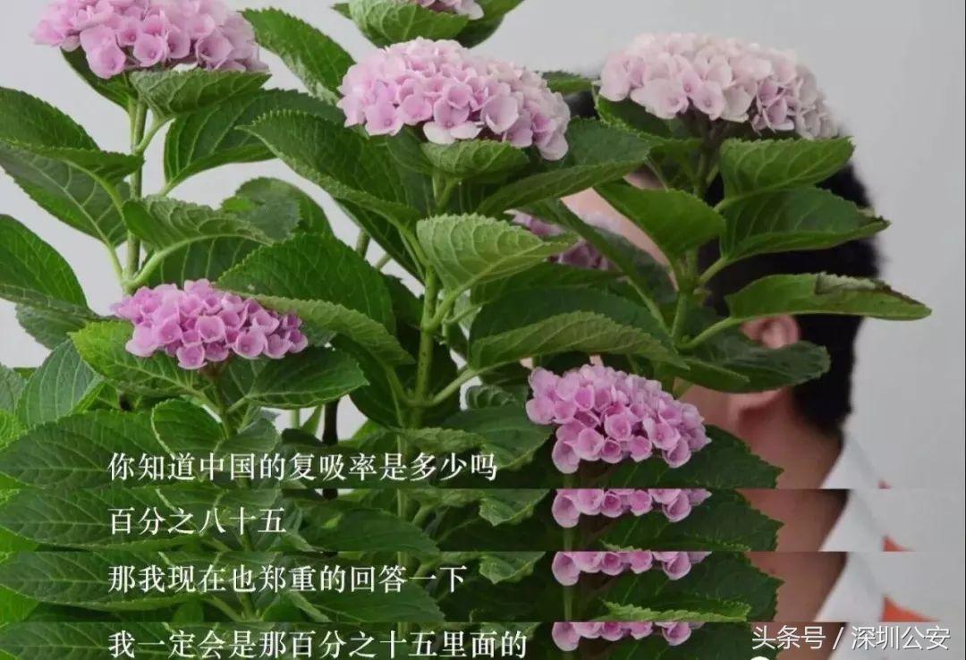 禁毒知识知多少答案,禁毒富翁